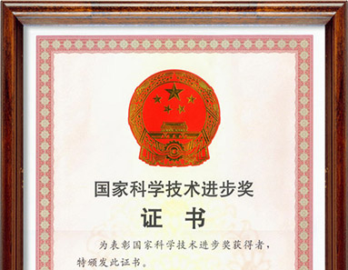 國家科學技術(shù)進步獎證書